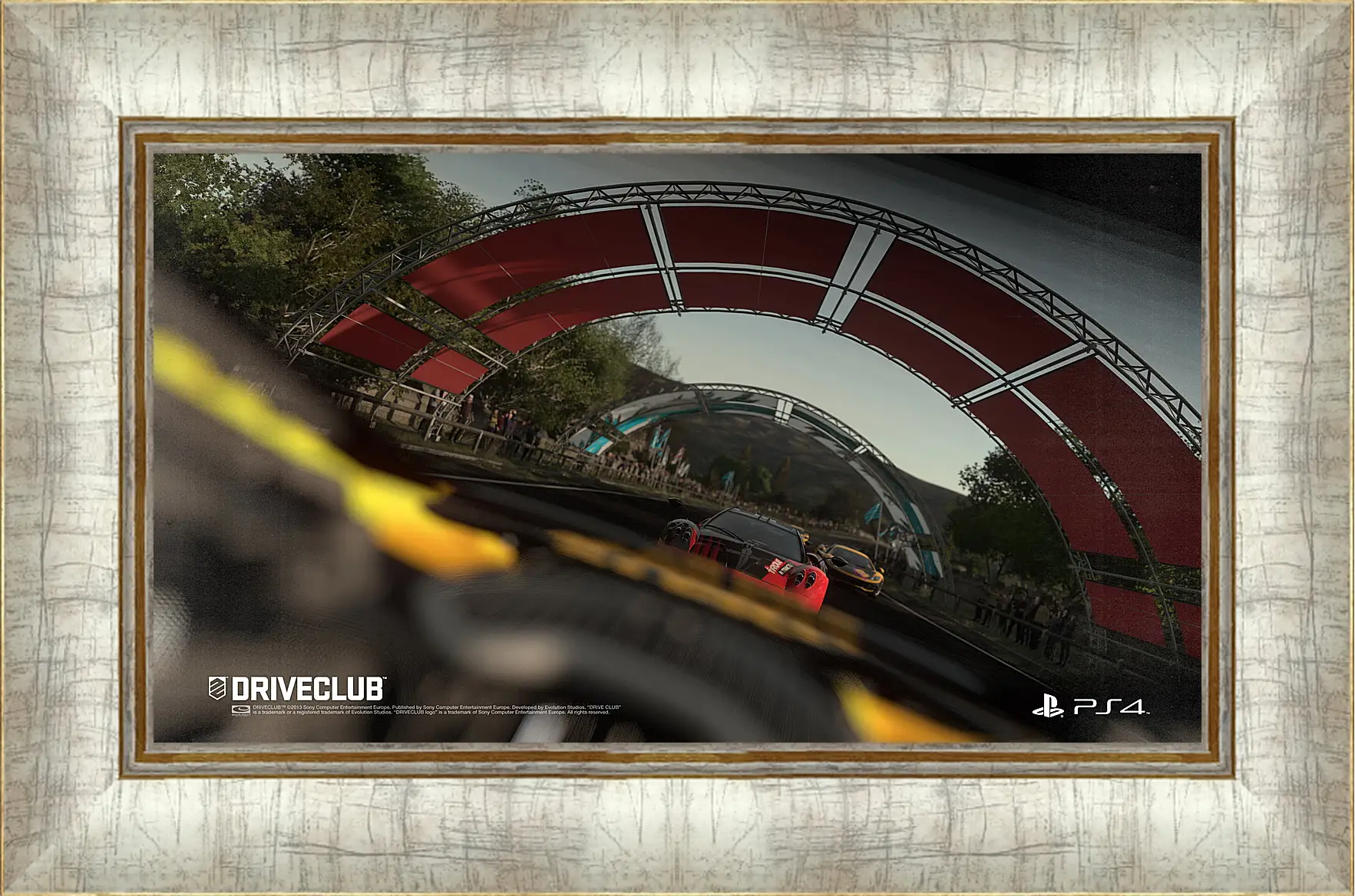 Картина в раме - Driveclub
