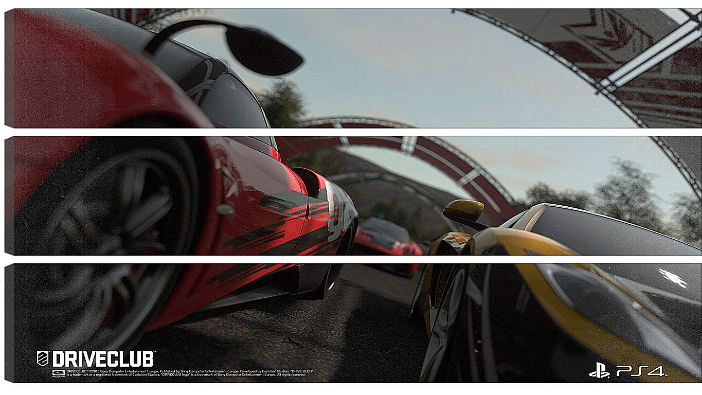 Модульная картина - Driveclub
