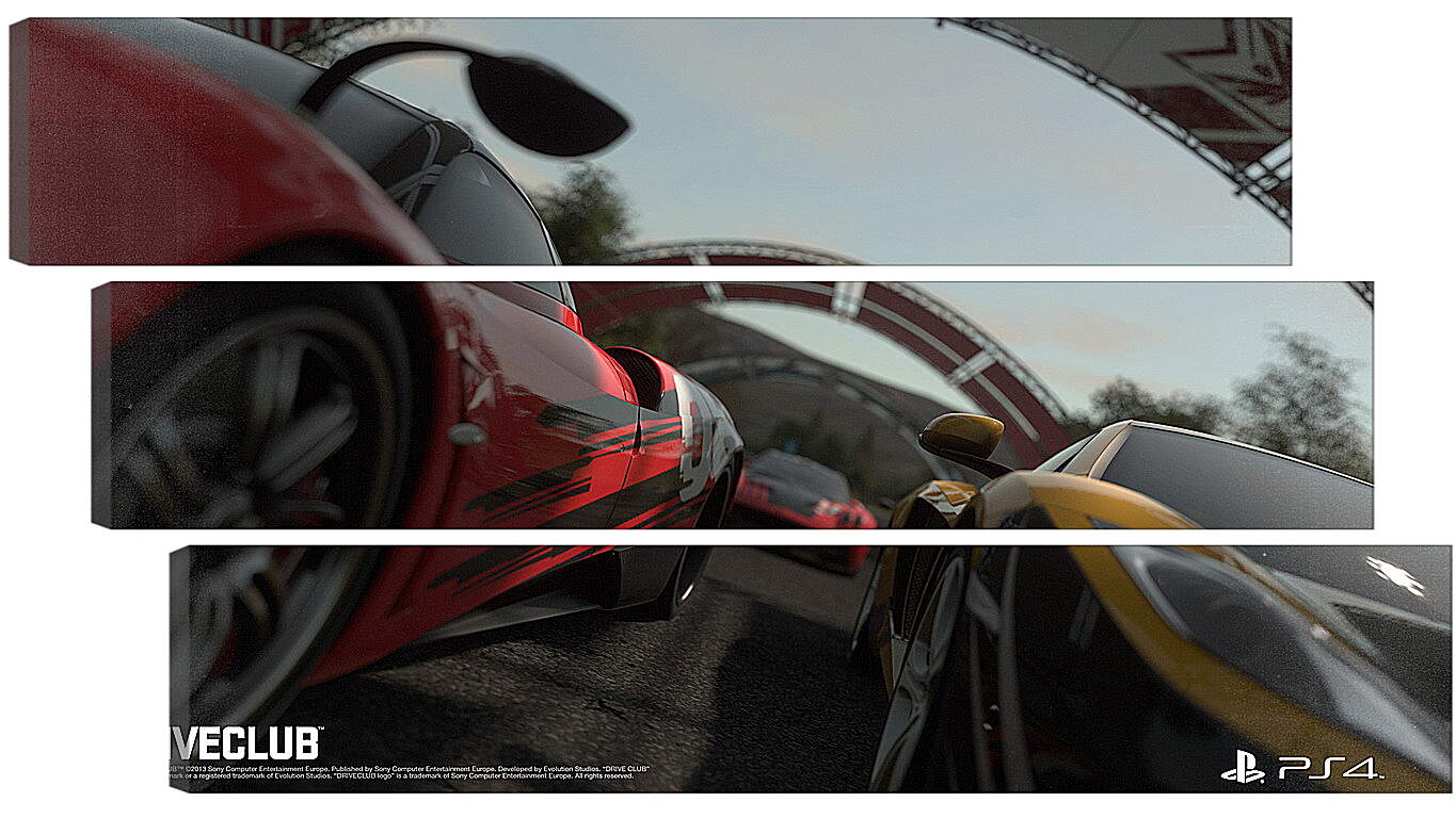 Модульная картина - Driveclub
