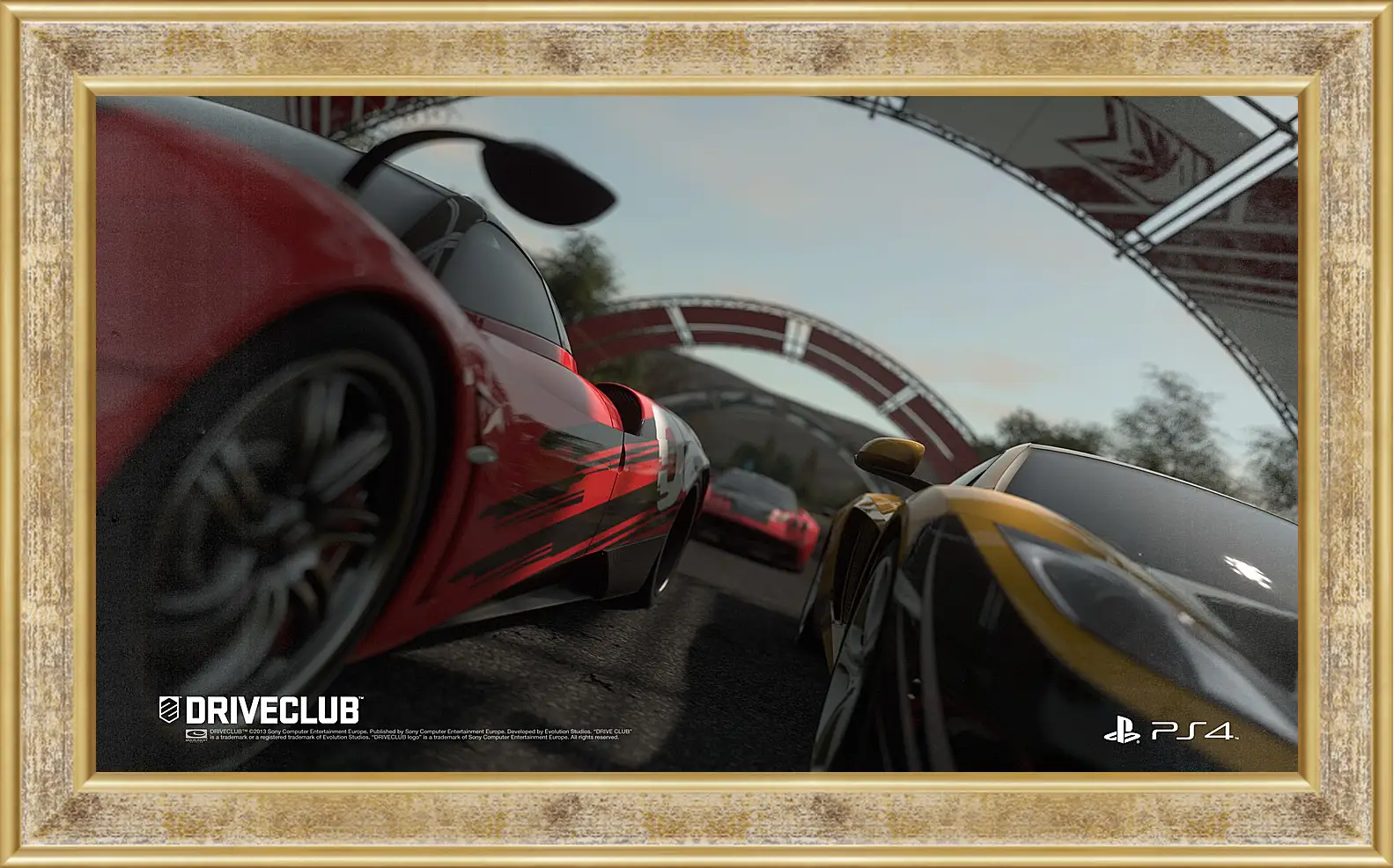 Картина в раме - Driveclub
