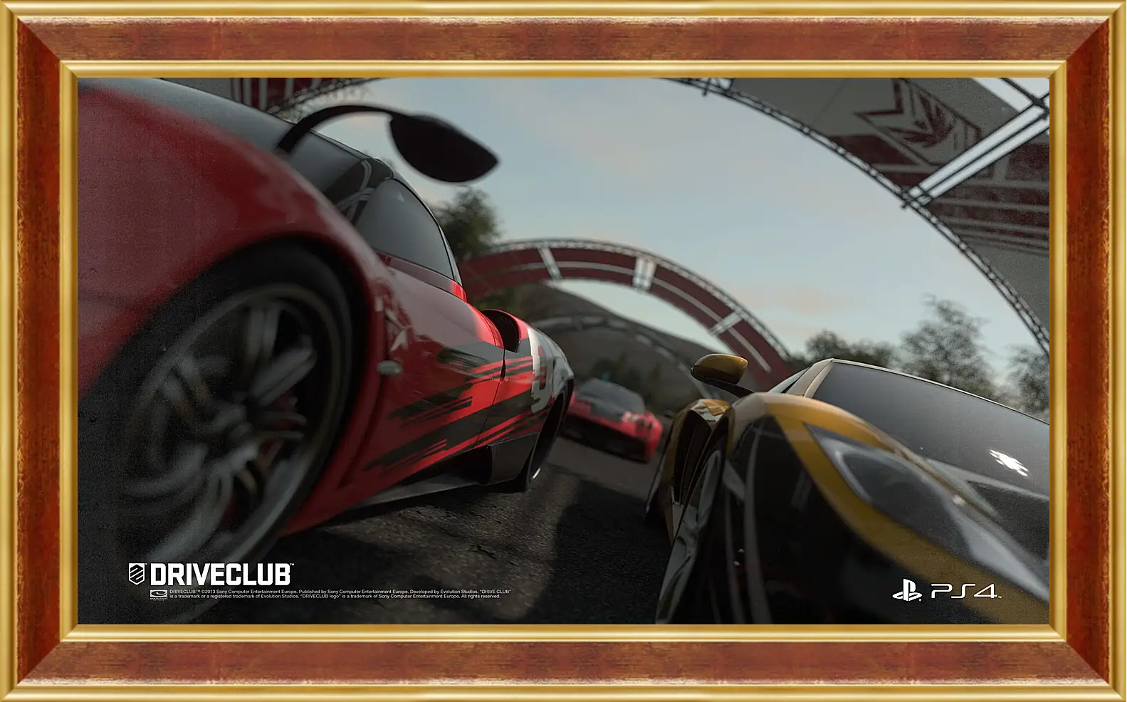 Картина в раме - Driveclub
