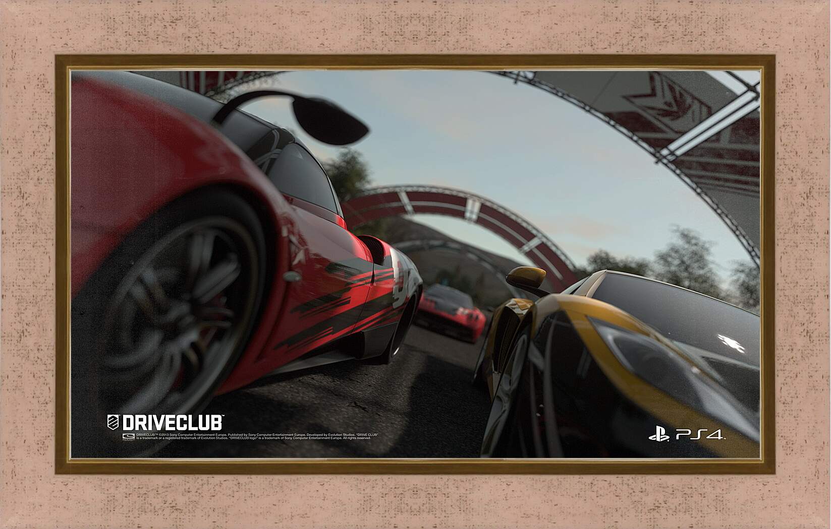 Картина в раме - Driveclub
