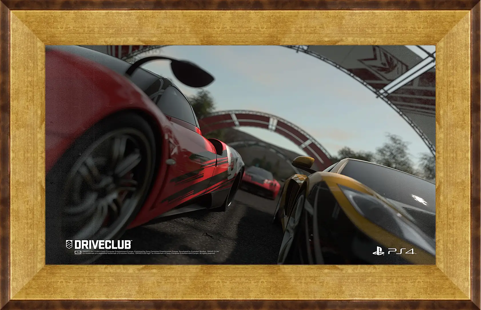 Картина в раме - Driveclub
