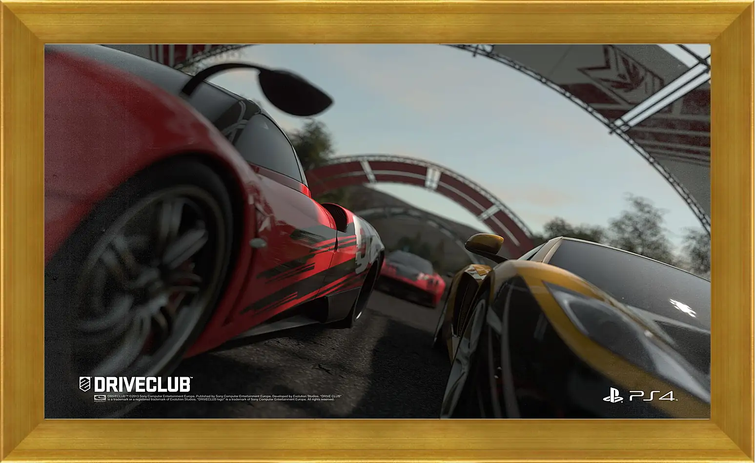 Картина в раме - Driveclub
