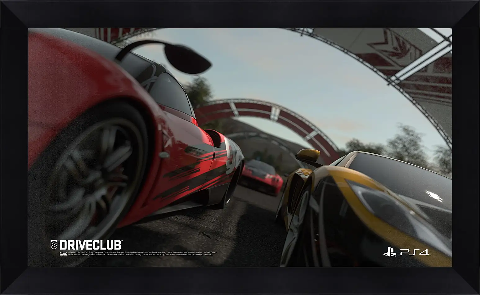 Картина в раме - Driveclub
