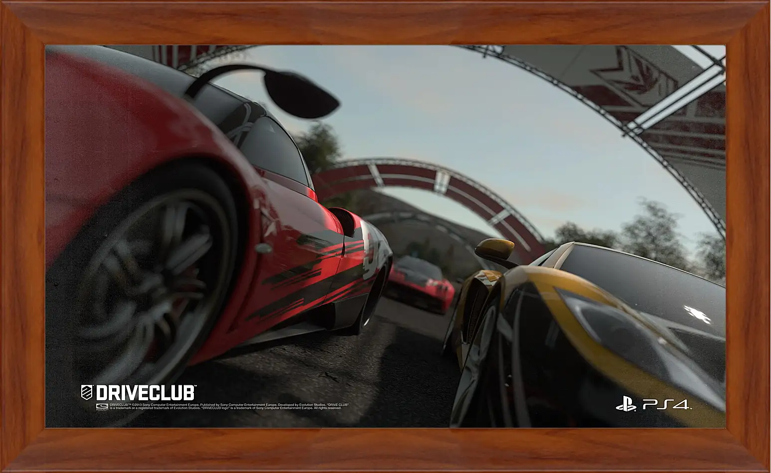 Картина в раме - Driveclub
