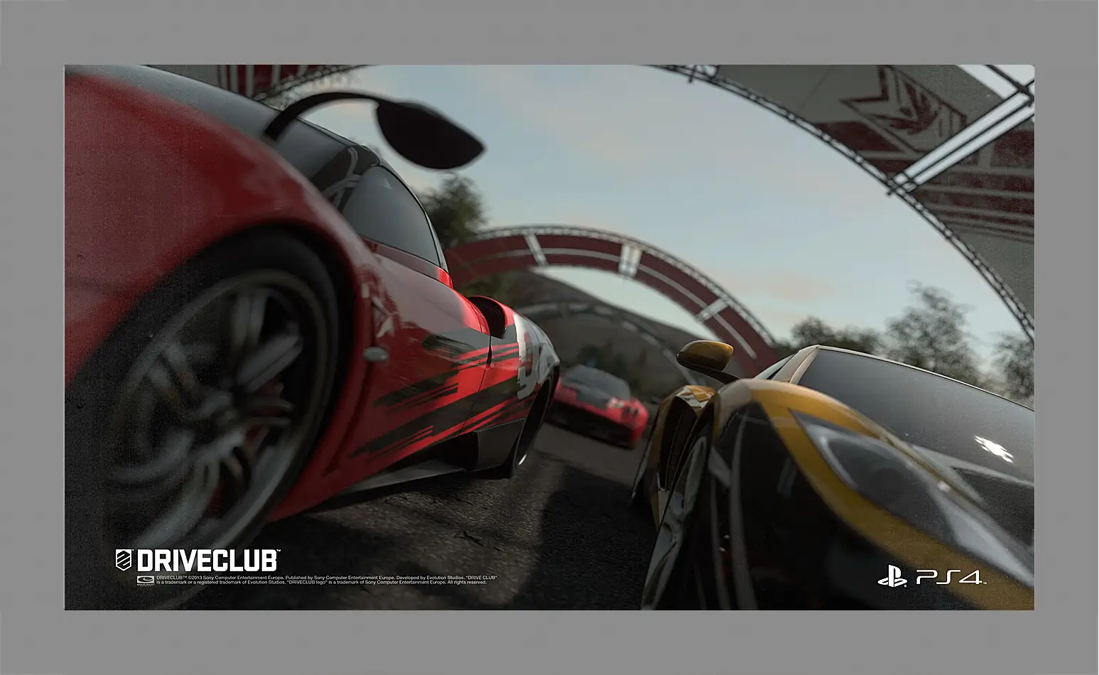 Картина в раме - Driveclub
