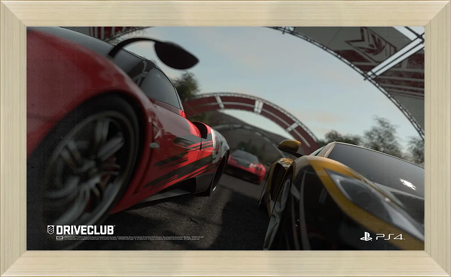 Картина в раме - Driveclub
