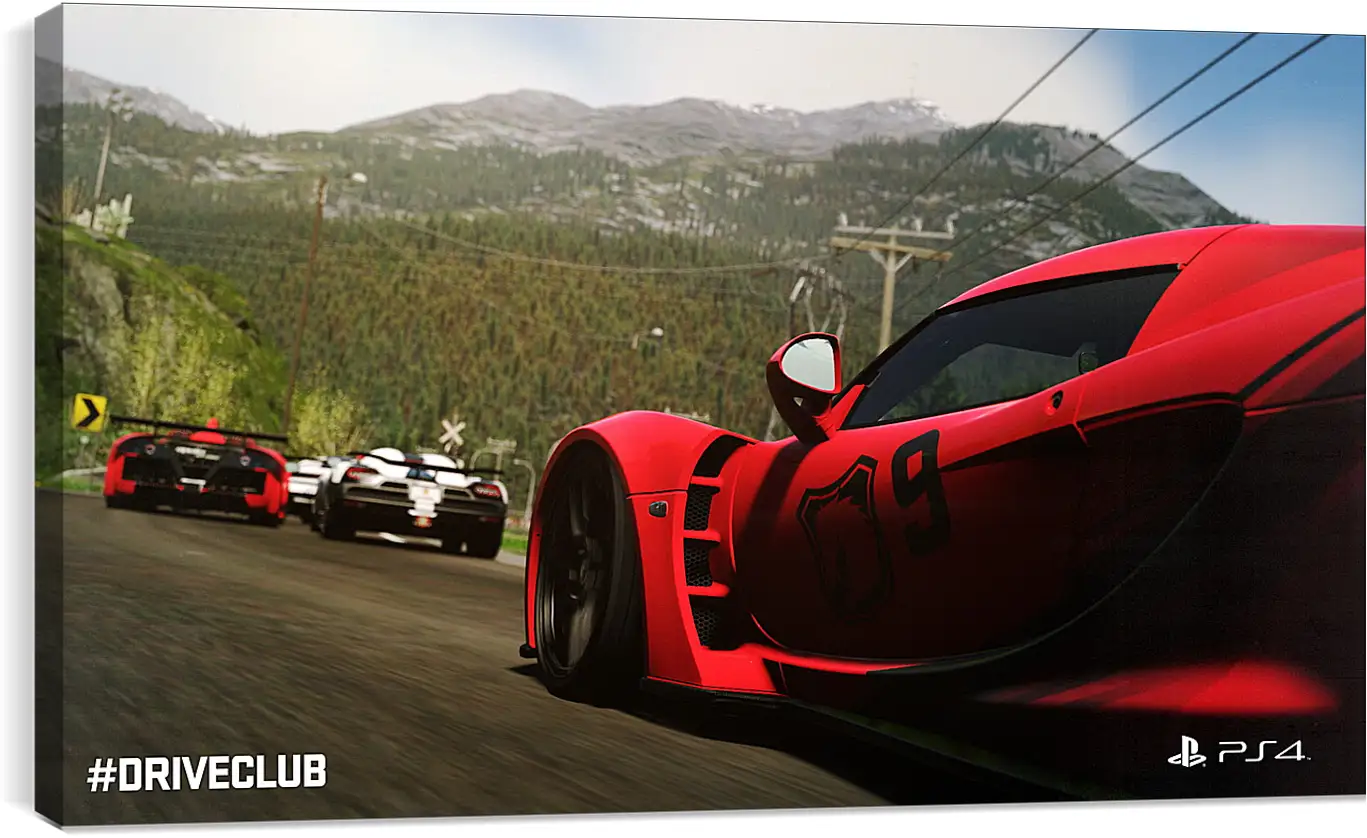 Постер и плакат - Driveclub
