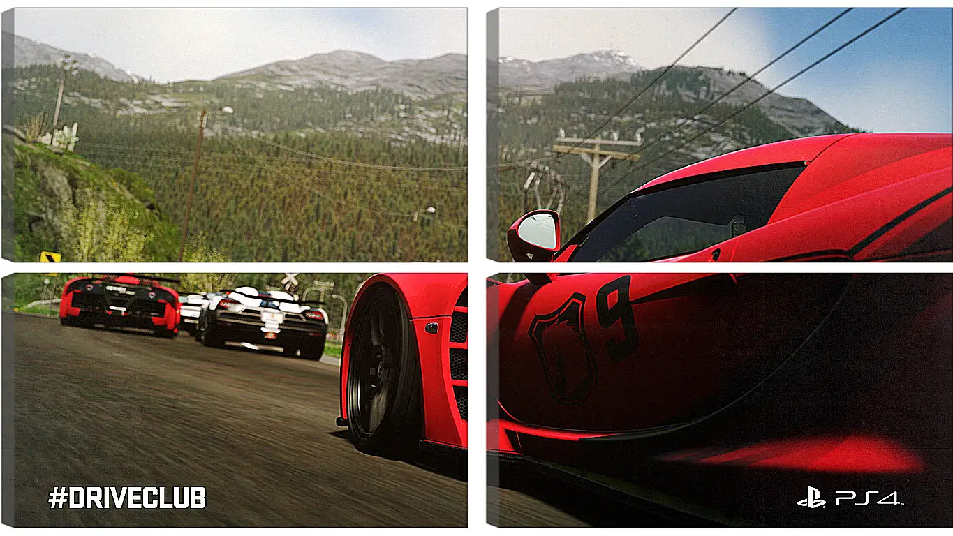 Модульная картина - Driveclub
