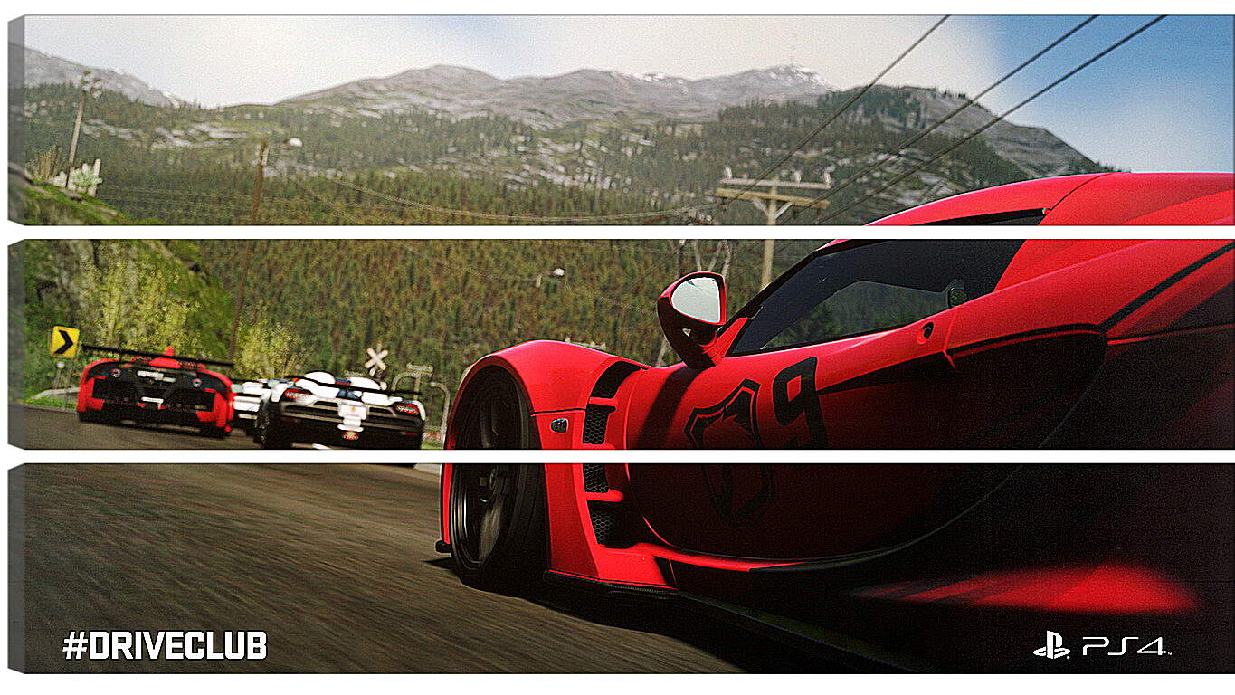 Модульная картина - Driveclub
