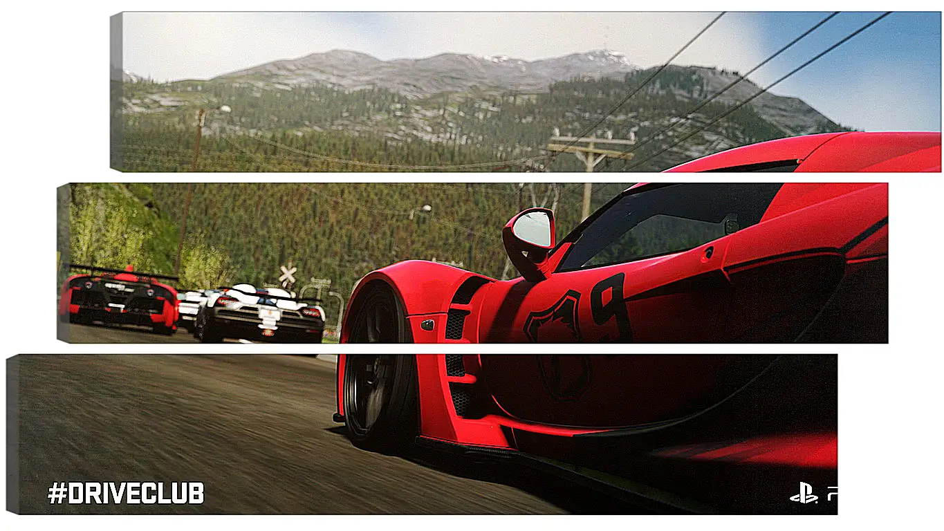 Модульная картина - Driveclub
