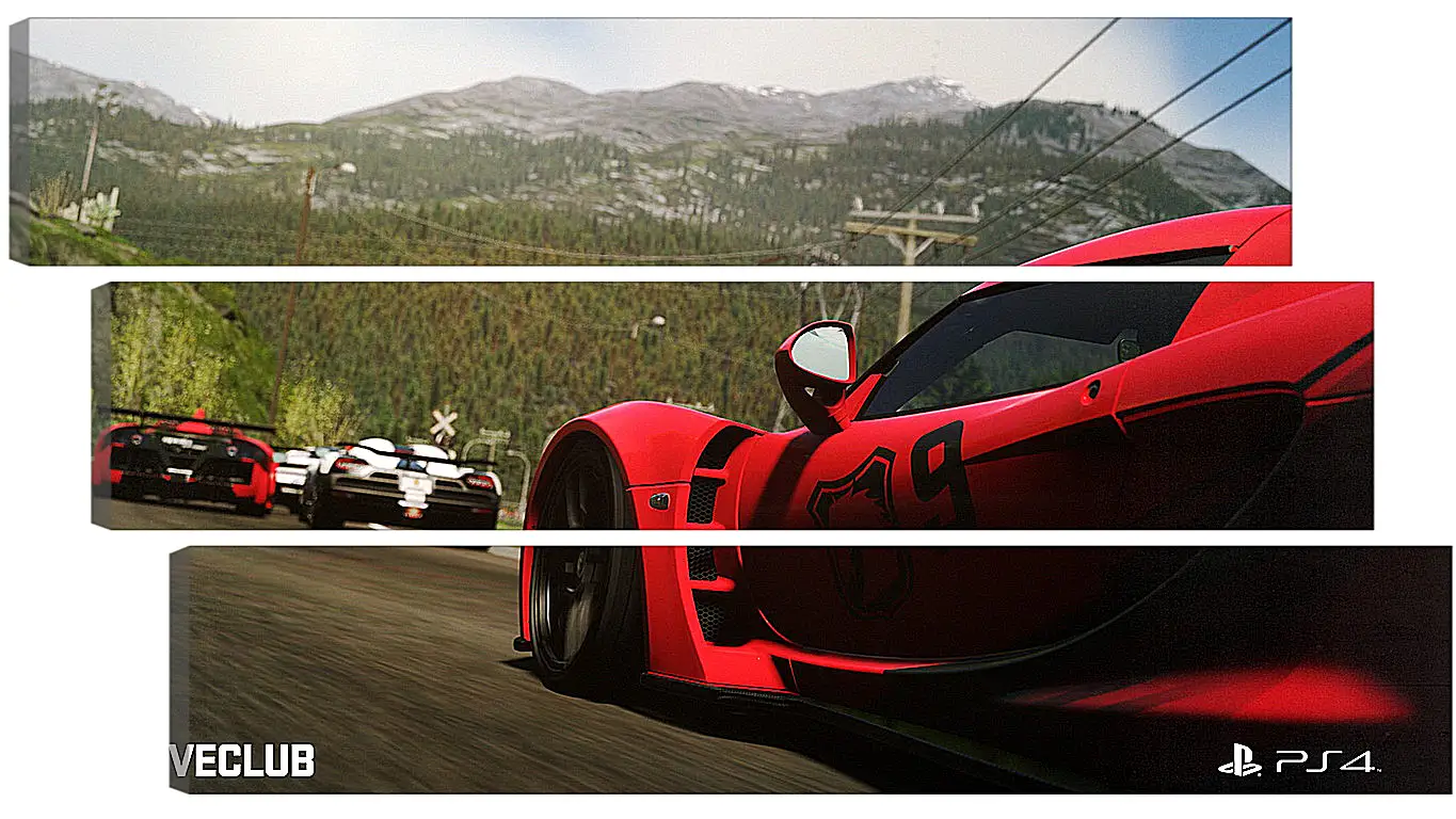 Модульная картина - Driveclub
