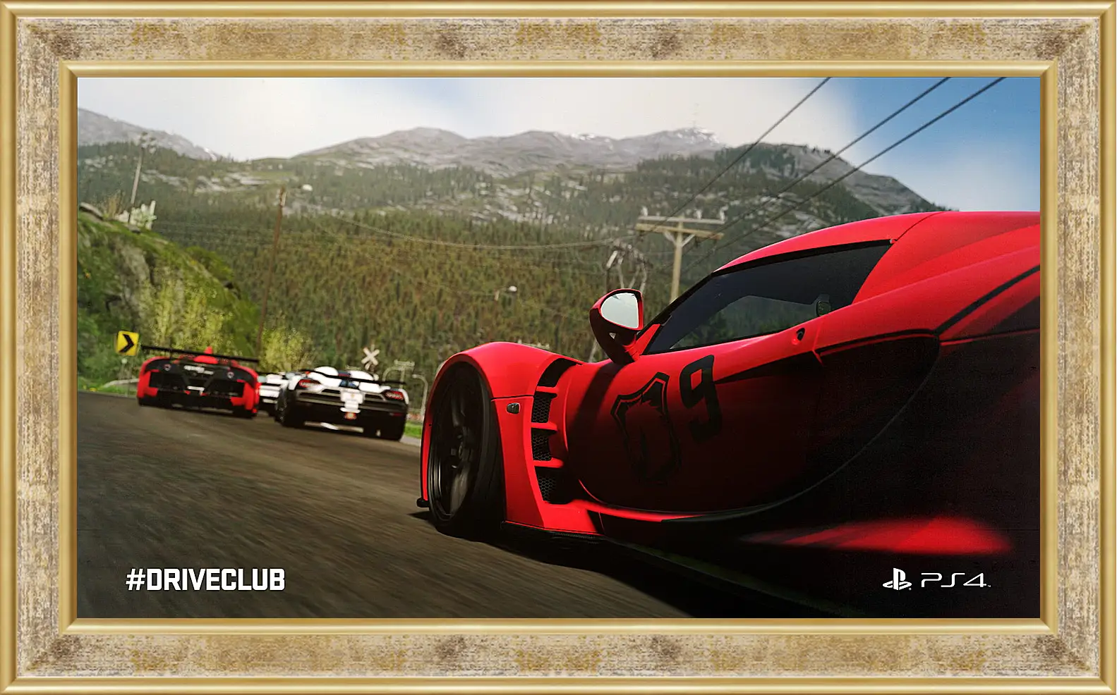 Картина в раме - Driveclub
