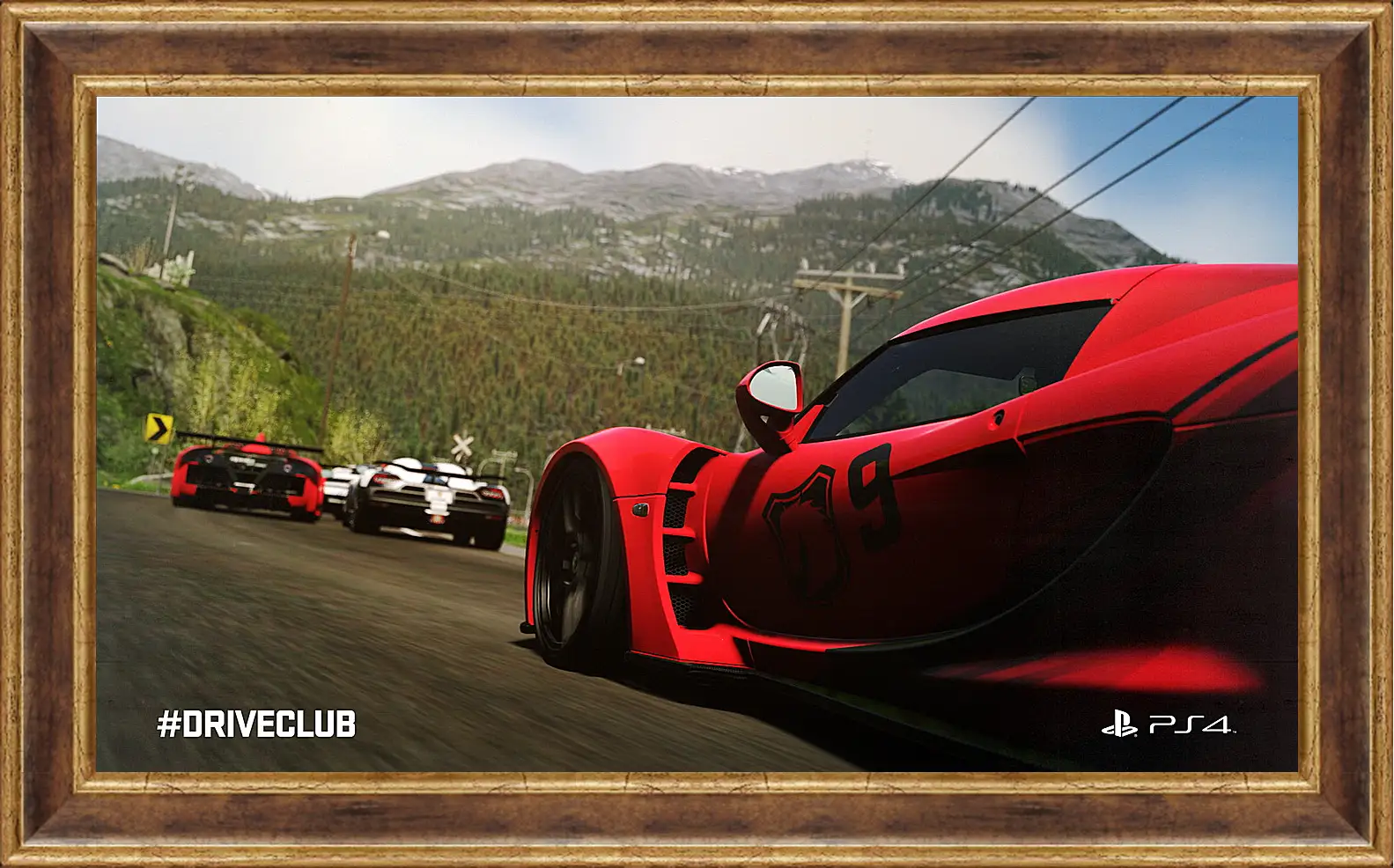 Картина в раме - Driveclub
