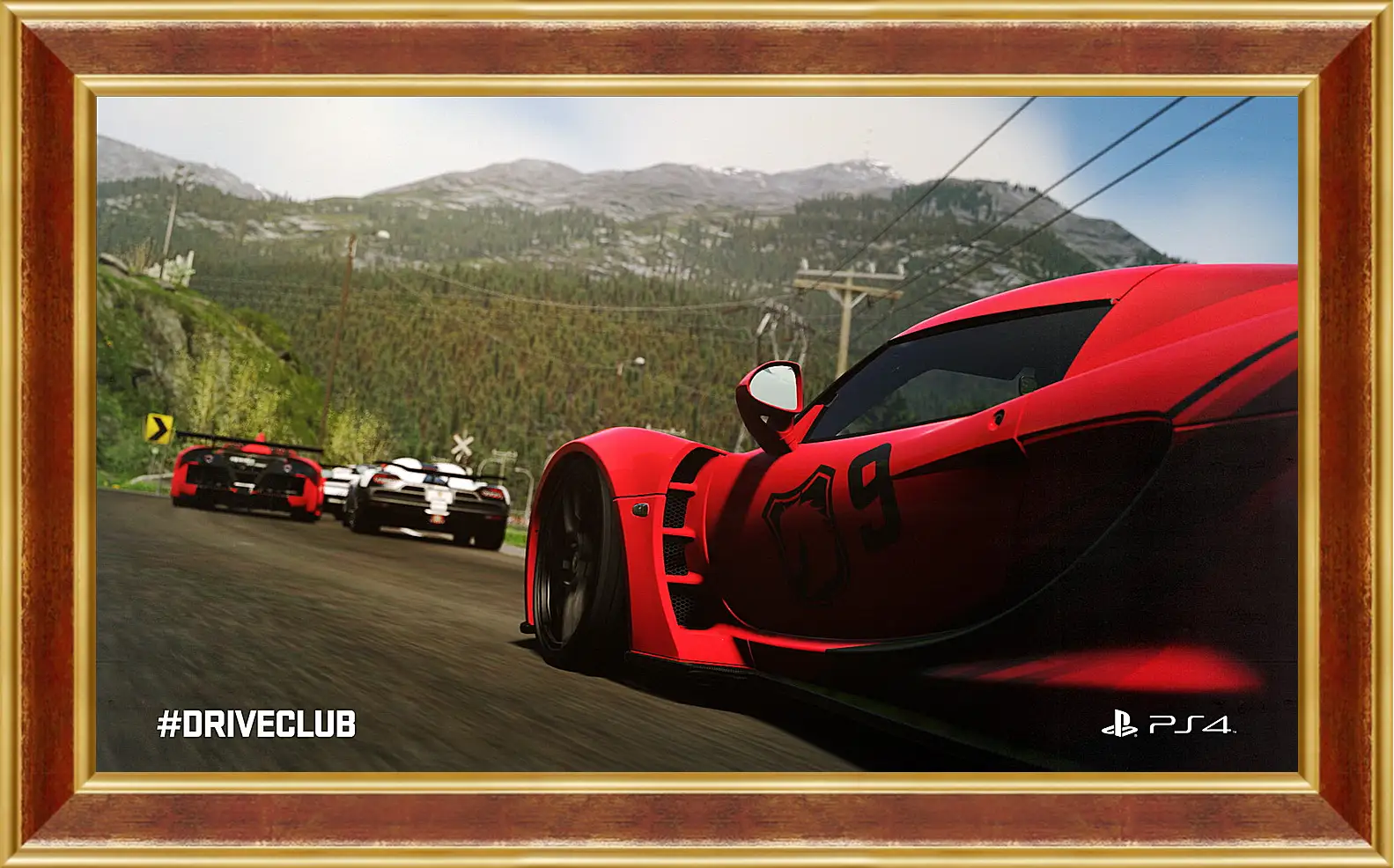 Картина в раме - Driveclub
