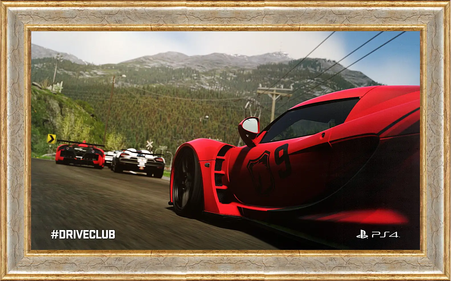 Картина в раме - Driveclub

