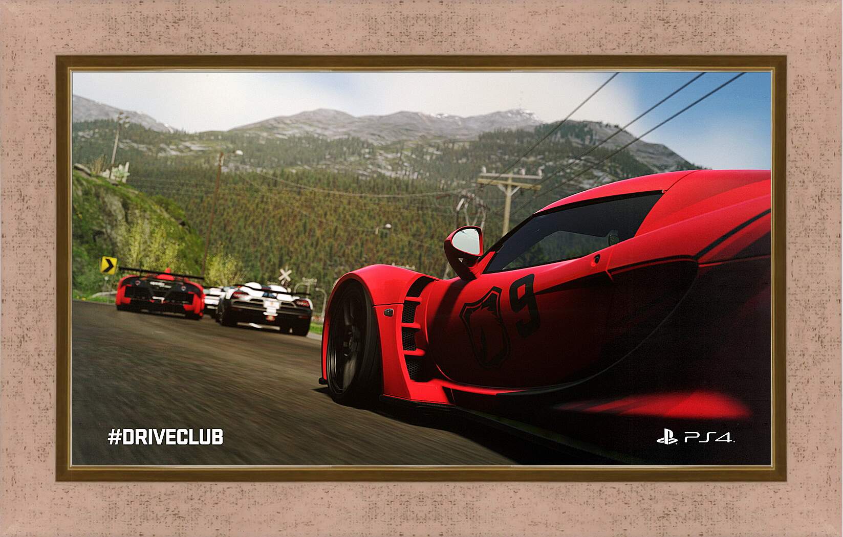 Картина в раме - Driveclub
