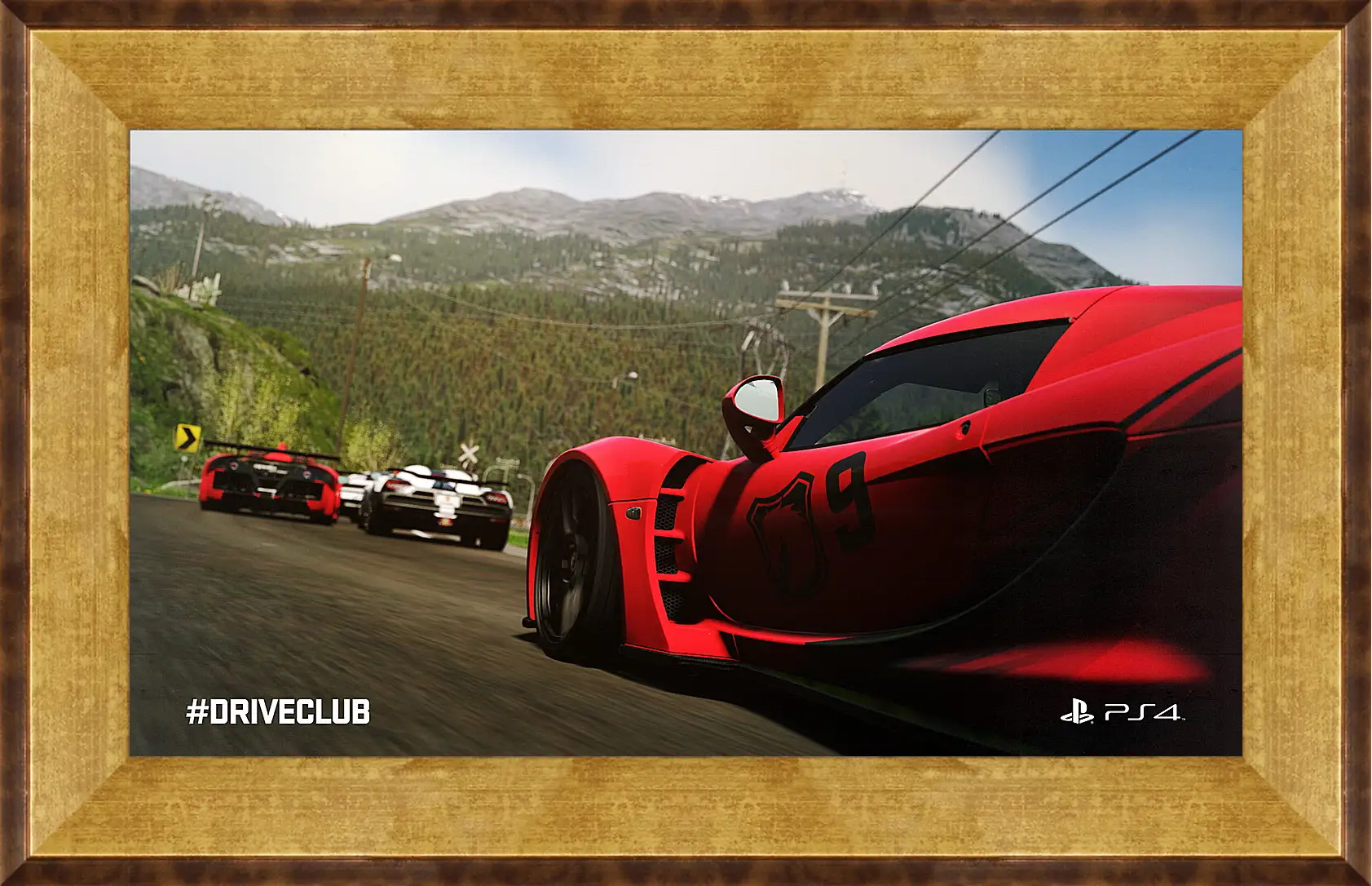 Картина в раме - Driveclub
