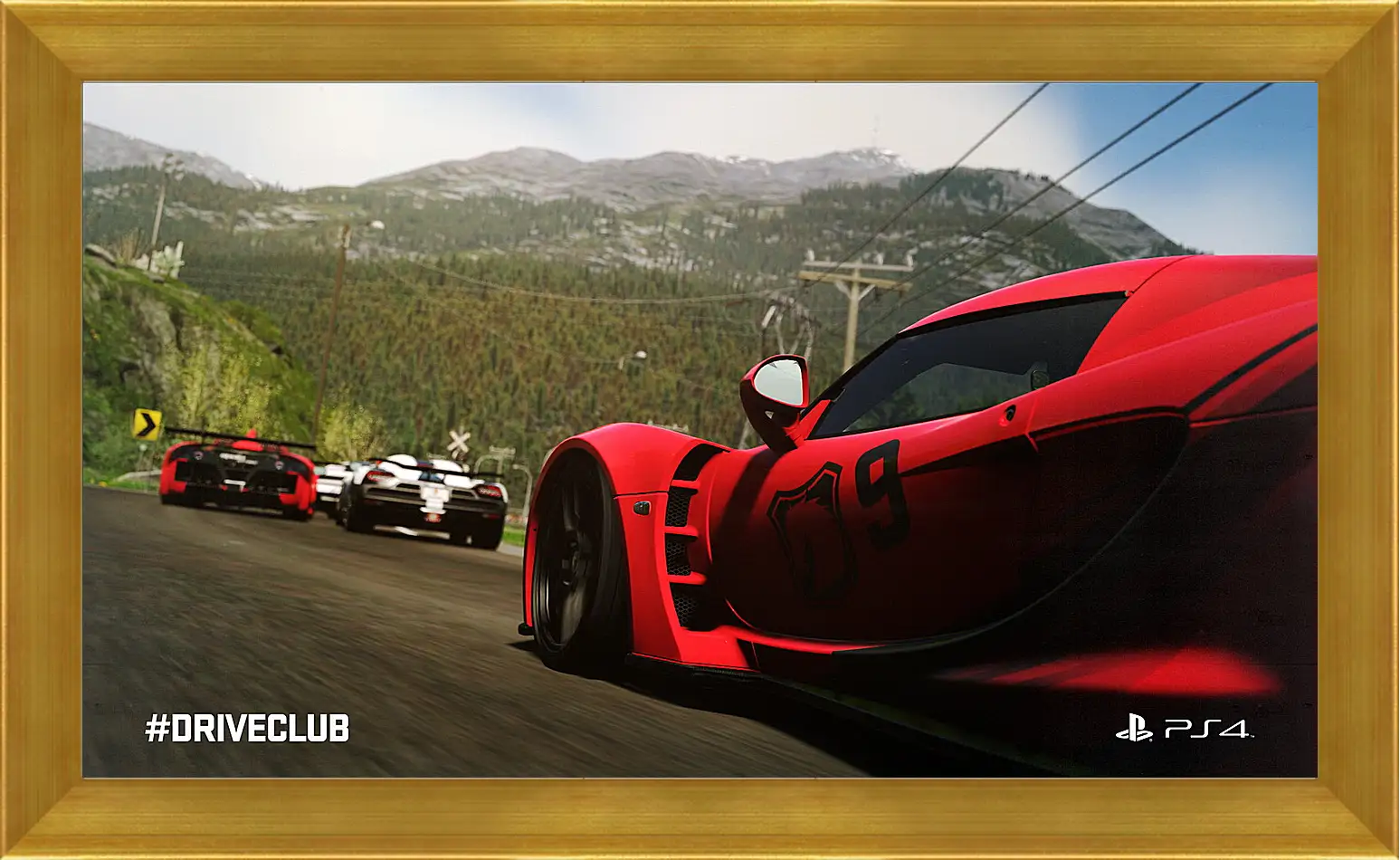 Картина в раме - Driveclub
