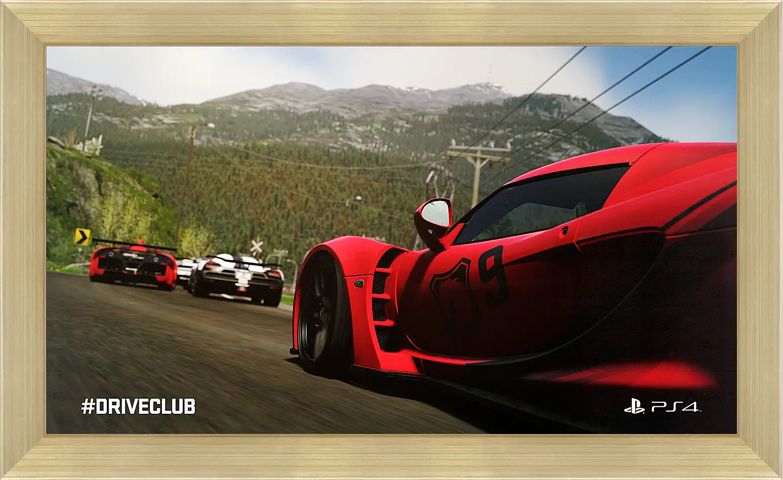 Картина в раме - Driveclub
