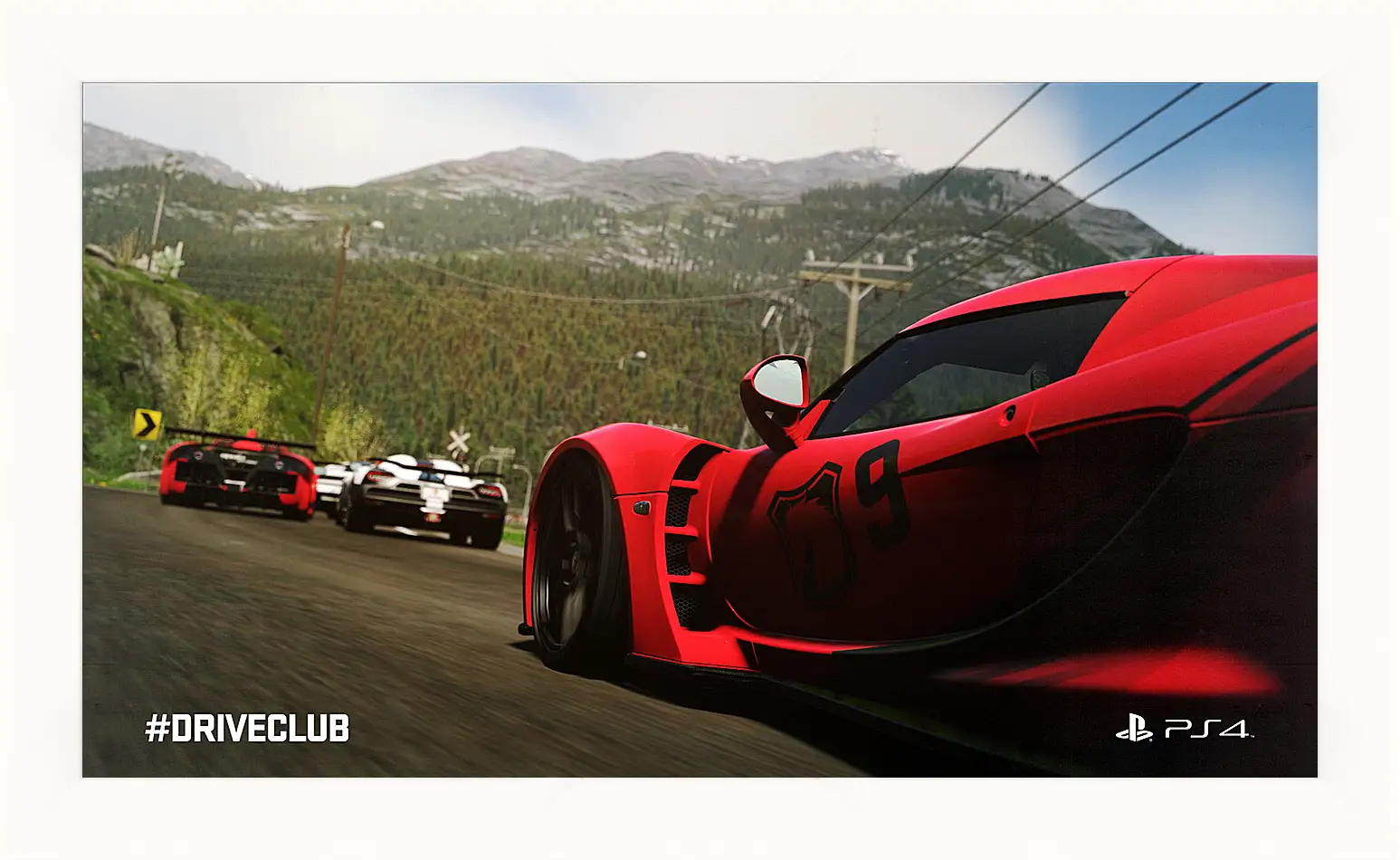 Картина в раме - Driveclub
