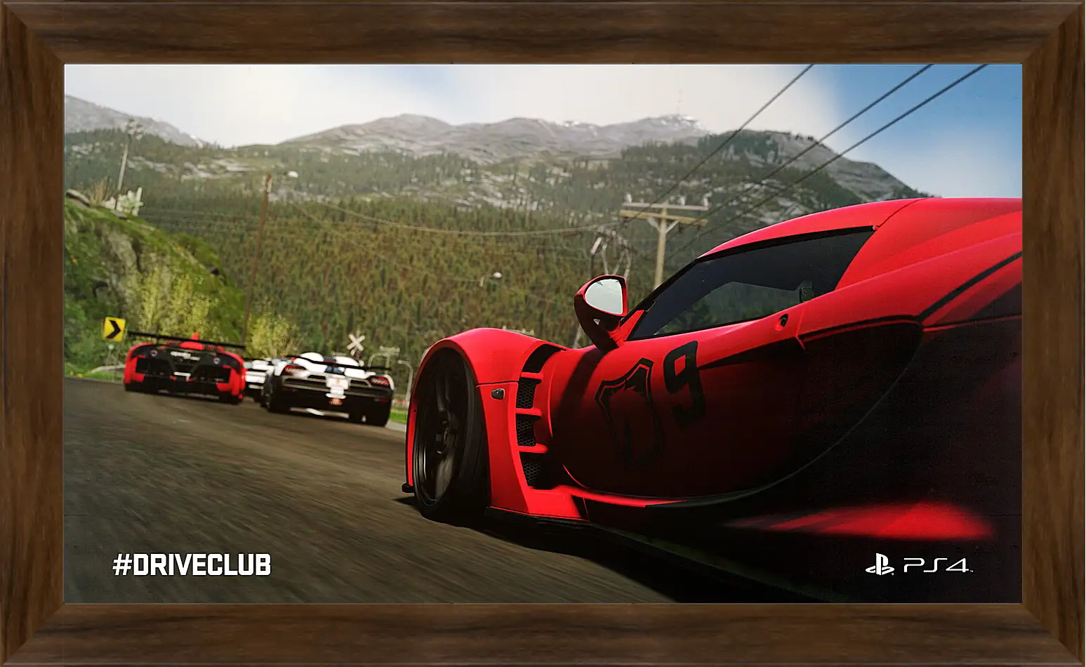 Картина в раме - Driveclub
