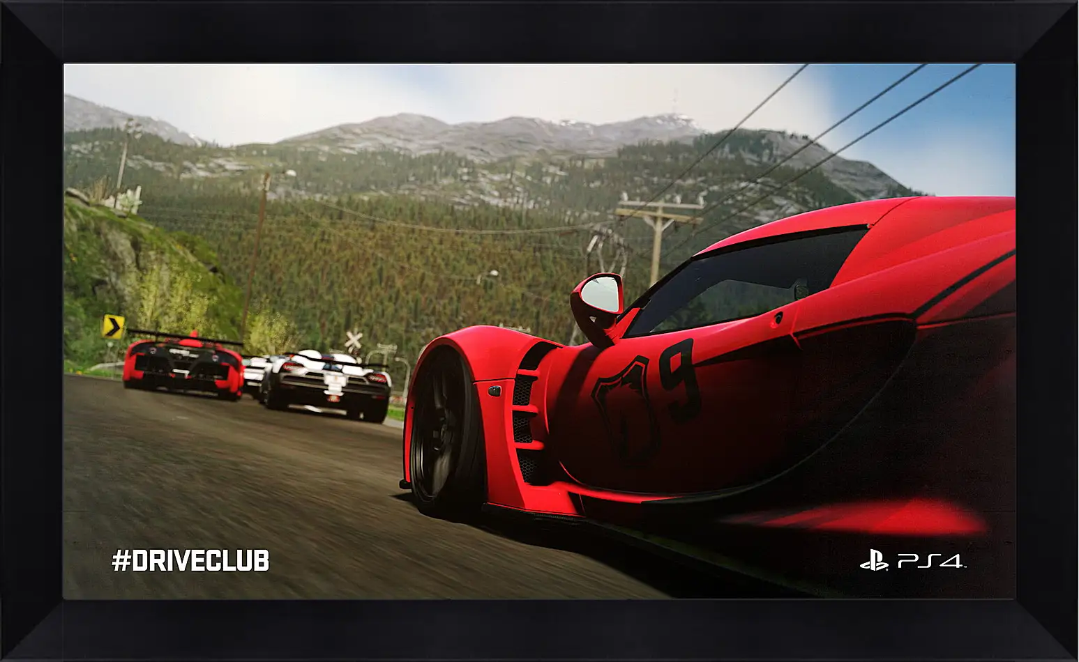 Картина в раме - Driveclub
