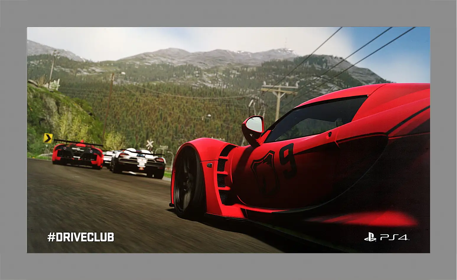 Картина в раме - Driveclub
