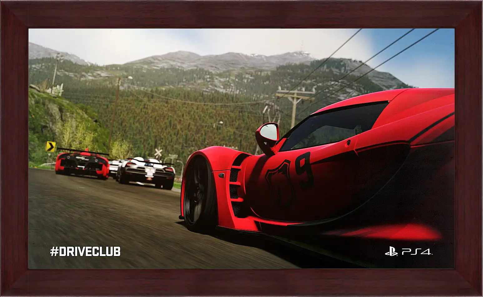 Картина в раме - Driveclub
