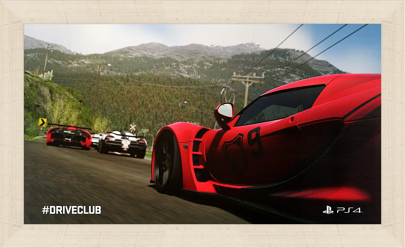 Картина в раме - Driveclub
