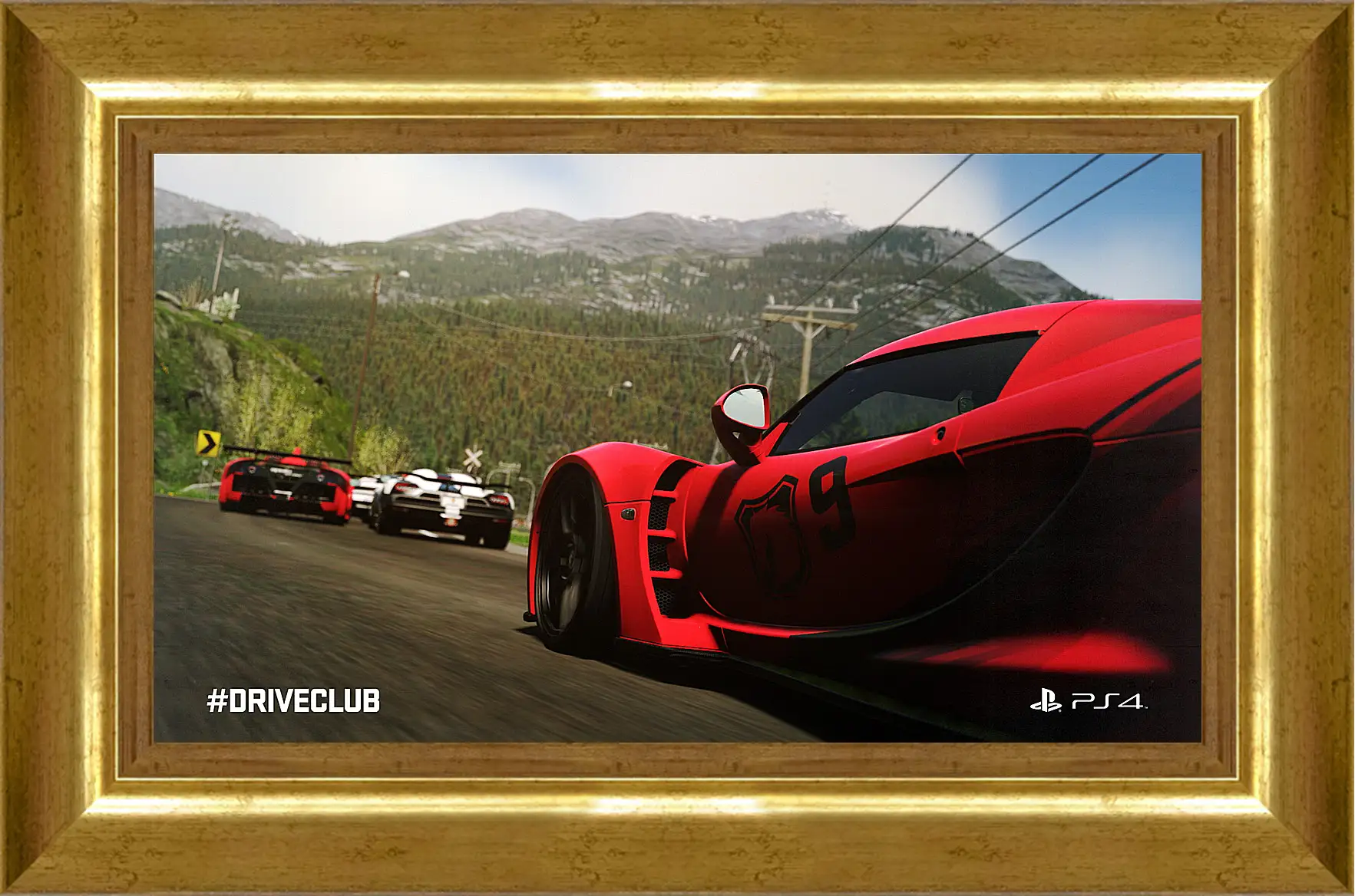 Картина в раме - Driveclub
