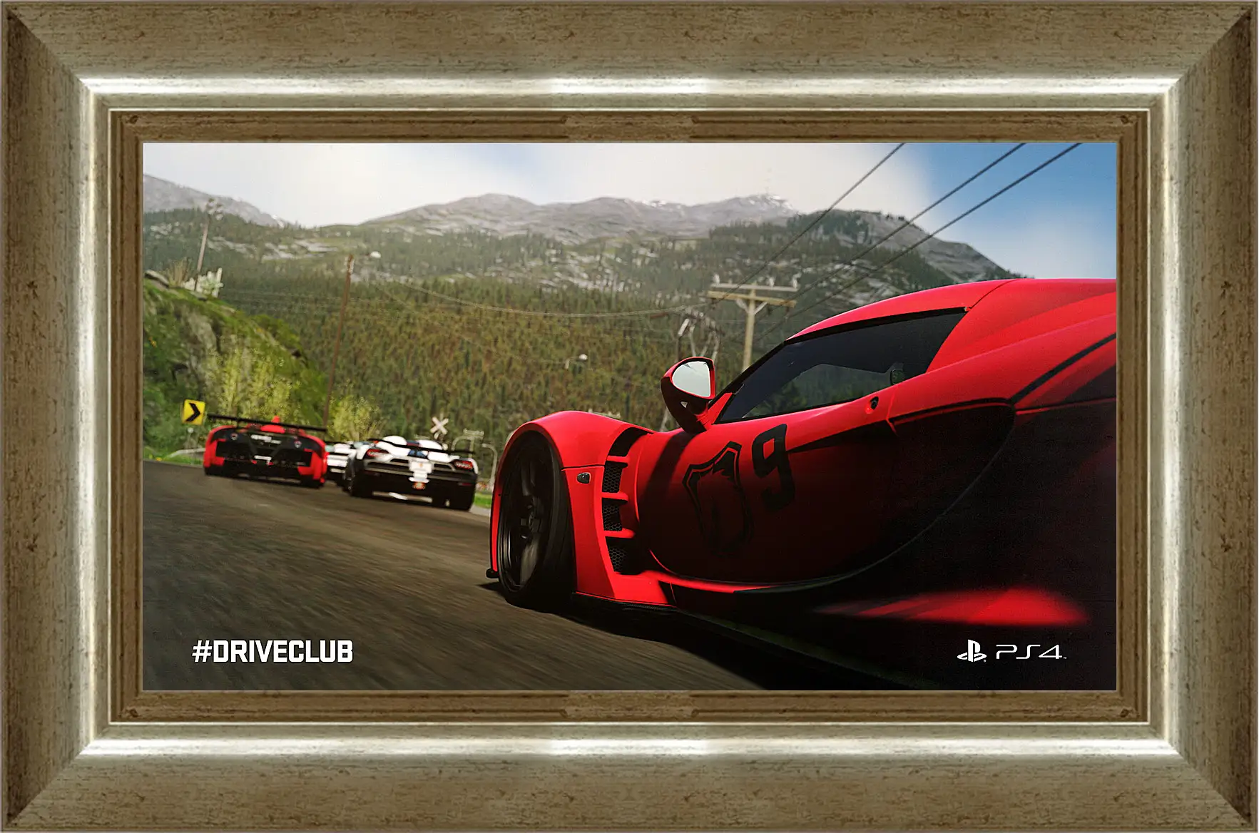 Картина в раме - Driveclub
