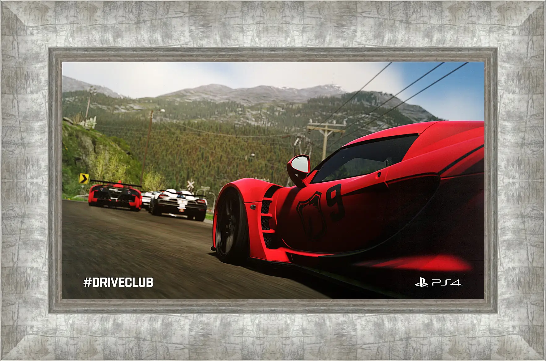 Картина в раме - Driveclub
