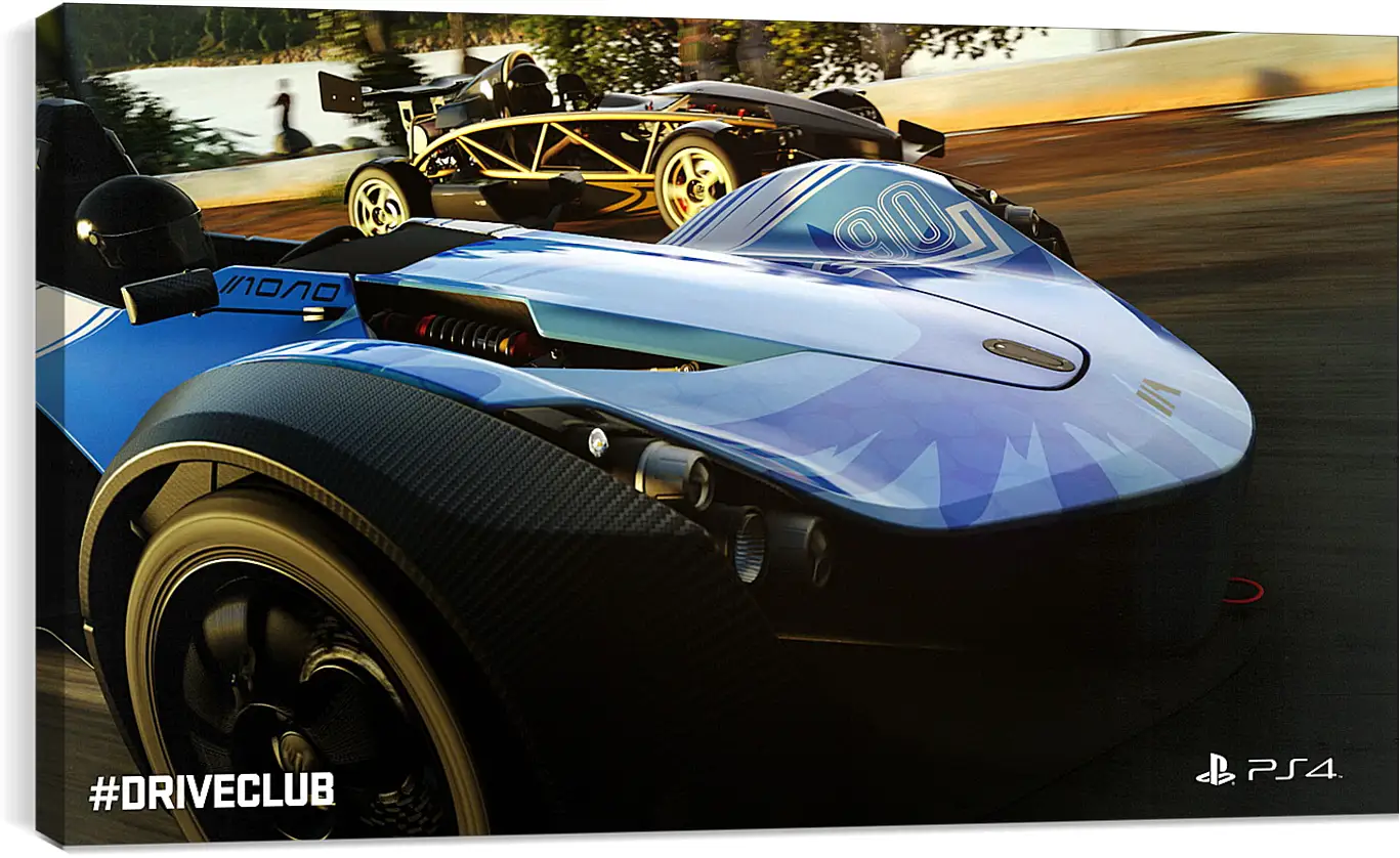 Постер и плакат - Driveclub
