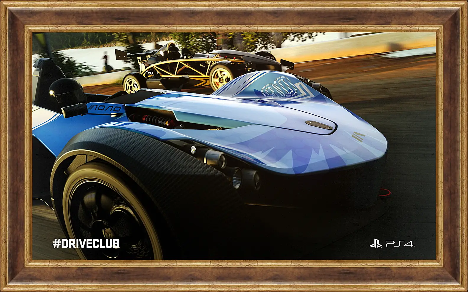 Картина в раме - Driveclub
