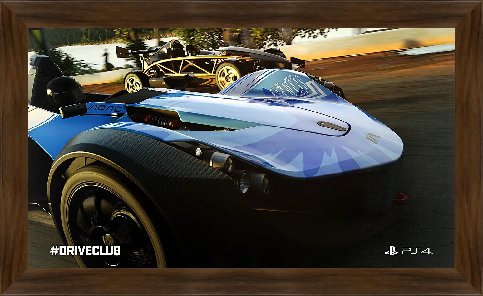 Картина в раме - Driveclub
