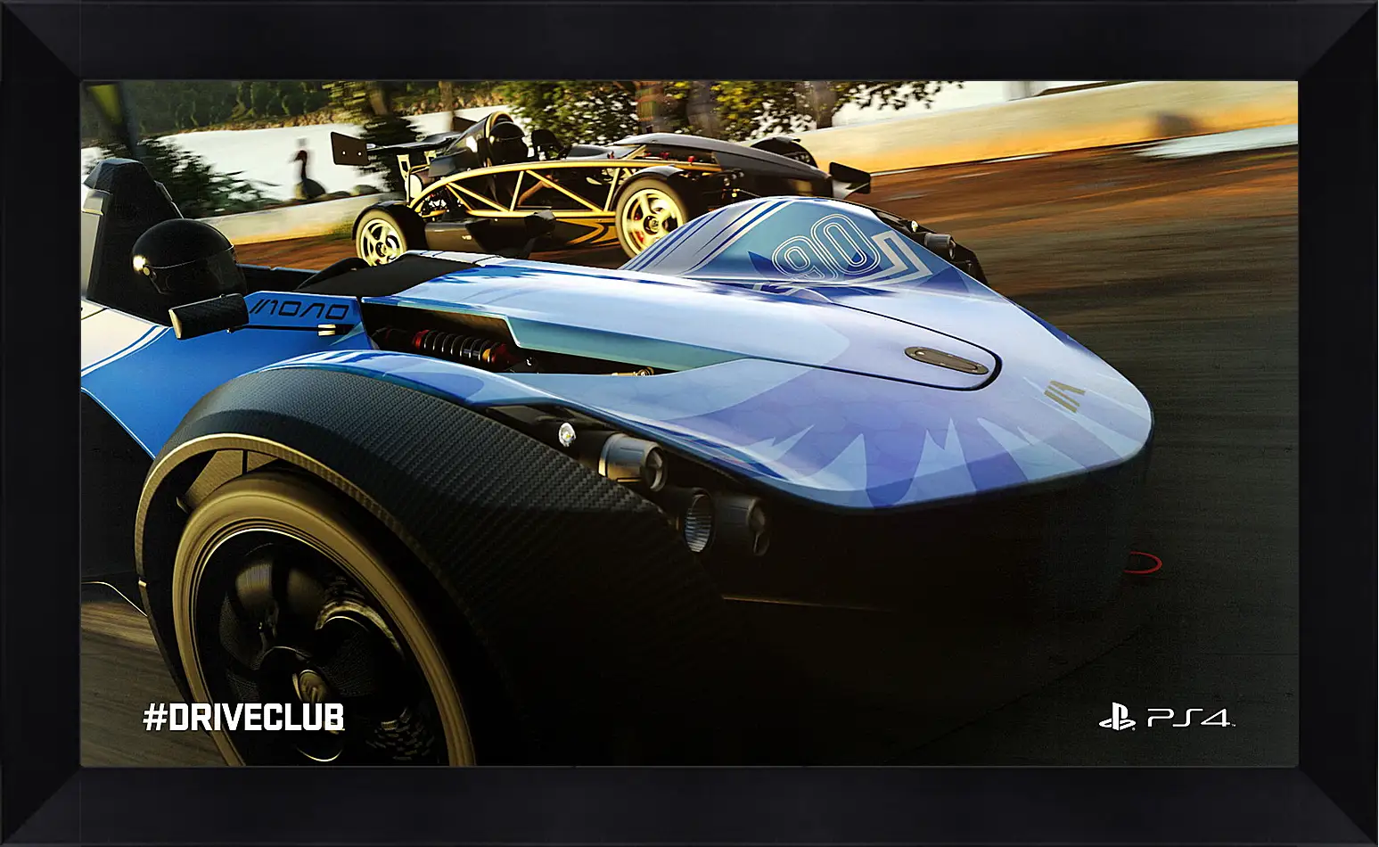 Картина в раме - Driveclub
