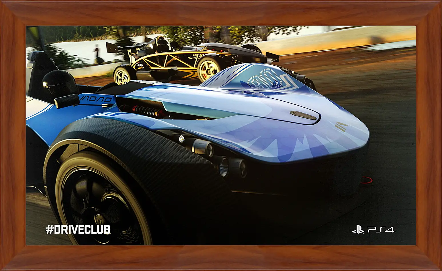 Картина в раме - Driveclub
