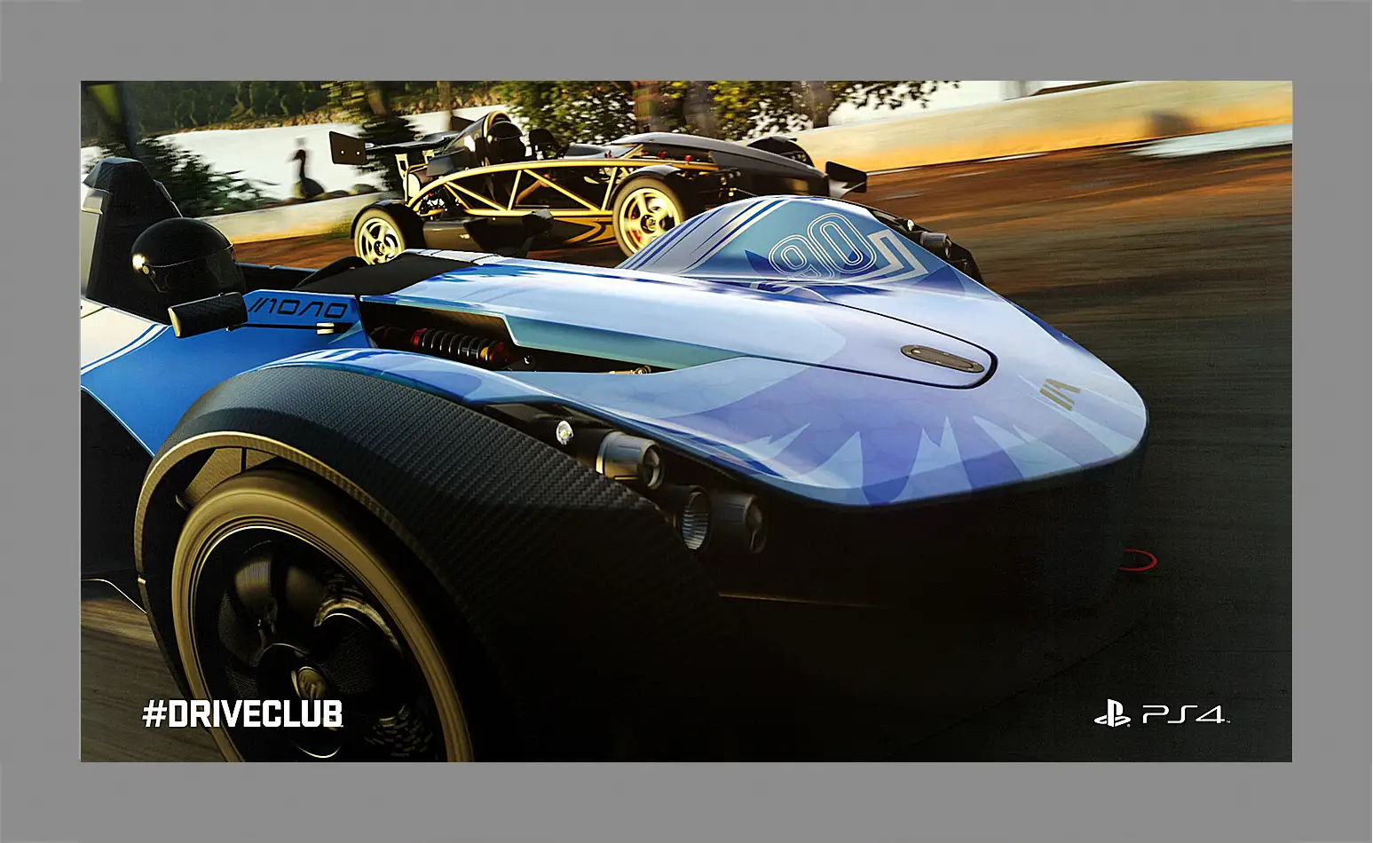 Картина в раме - Driveclub
