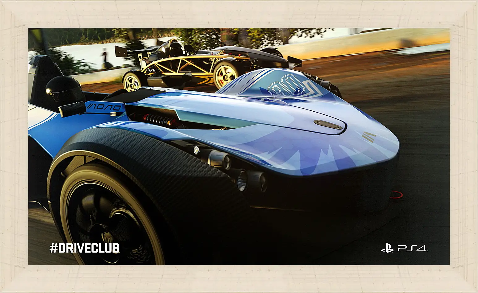 Картина в раме - Driveclub
