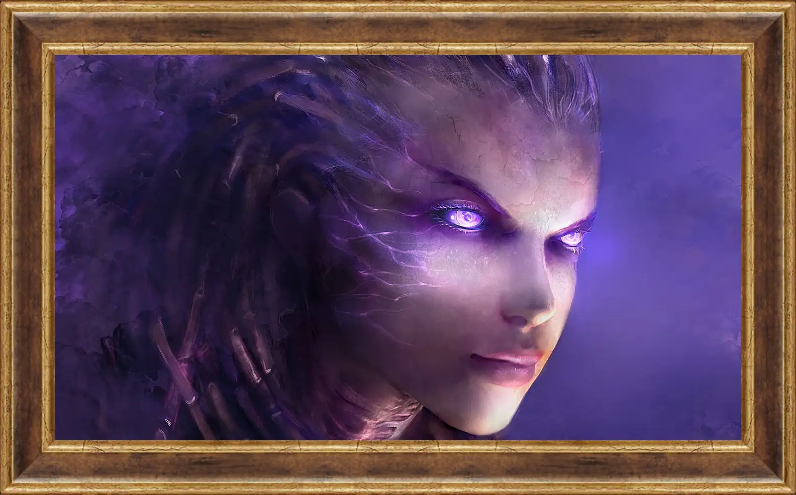 Картина в раме - StarCraft II: Heart Of The Swarm
