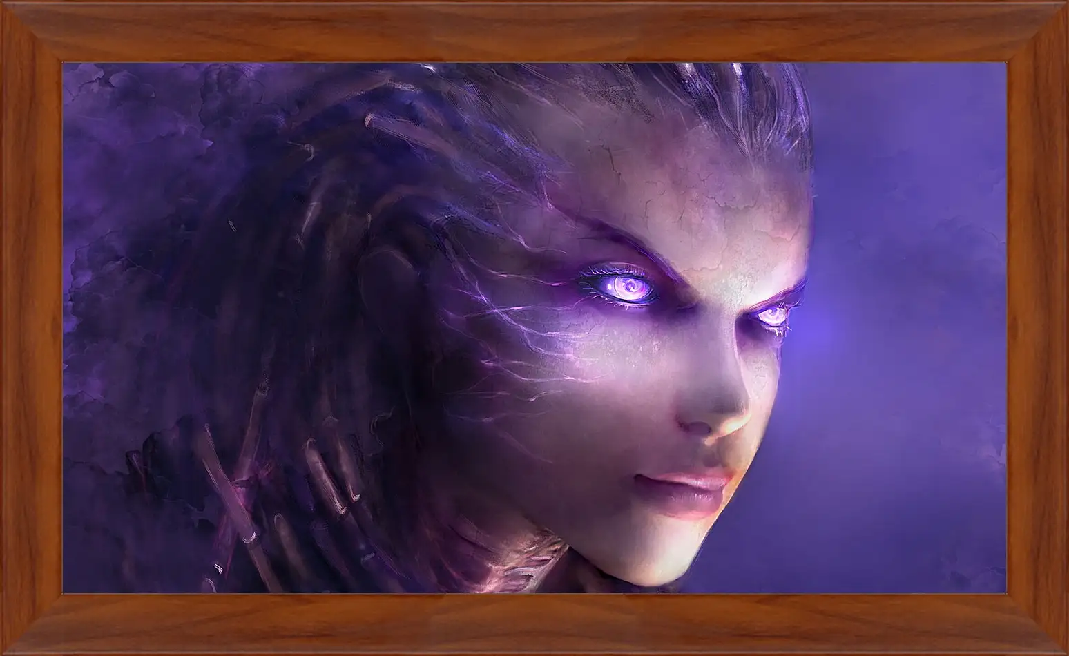 Картина в раме - StarCraft II: Heart Of The Swarm
