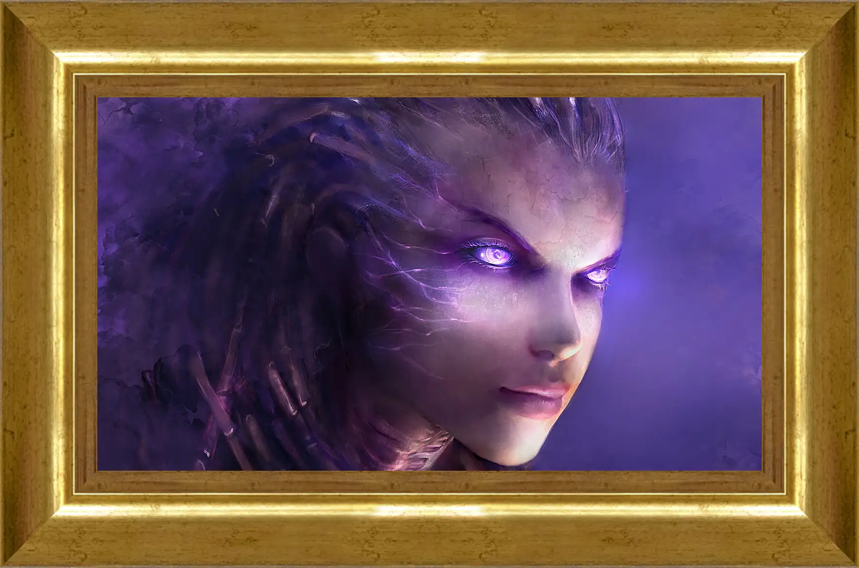 Картина в раме - StarCraft II: Heart Of The Swarm
