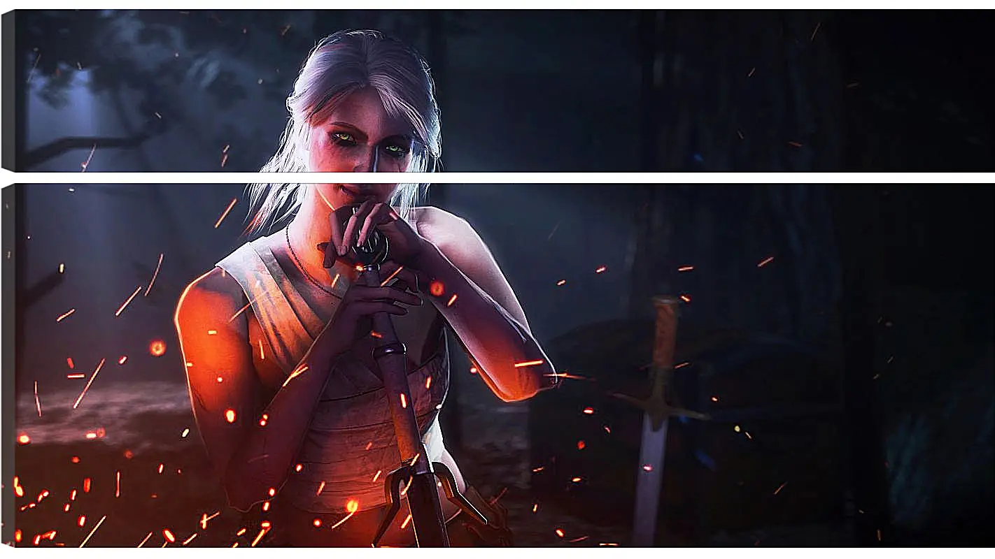 Модульная картина - The Witcher (Ведьмак), Цири у костра