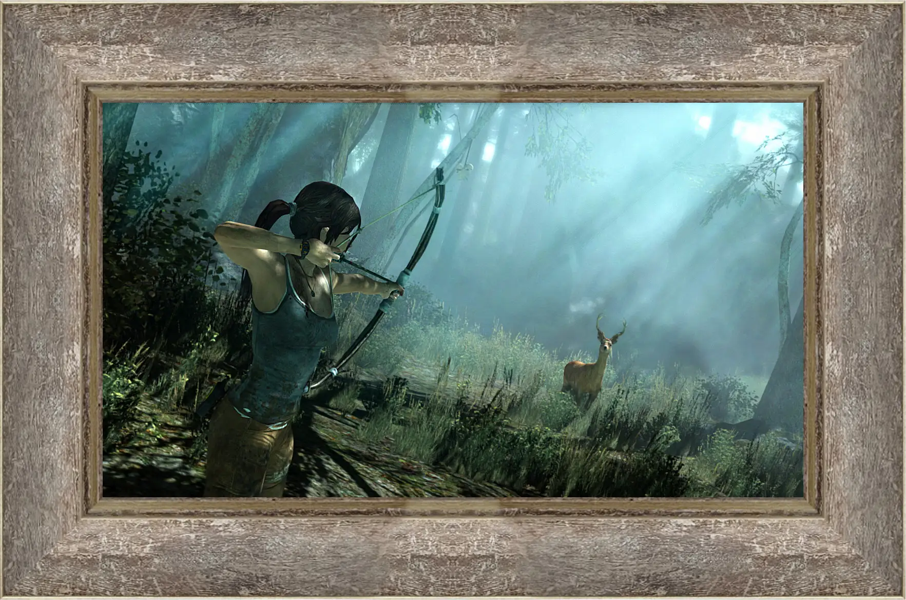 Картина в раме - Tomb Raider