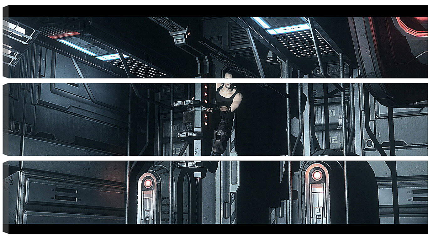 Модульная картина - The Chronicles Of Riddick: Assault On Dark Athena
