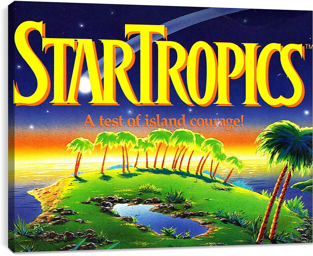 Постер и плакат - Star Tropics
