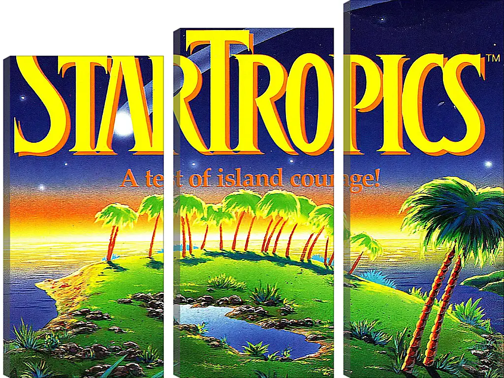 Модульная картина - Star Tropics
