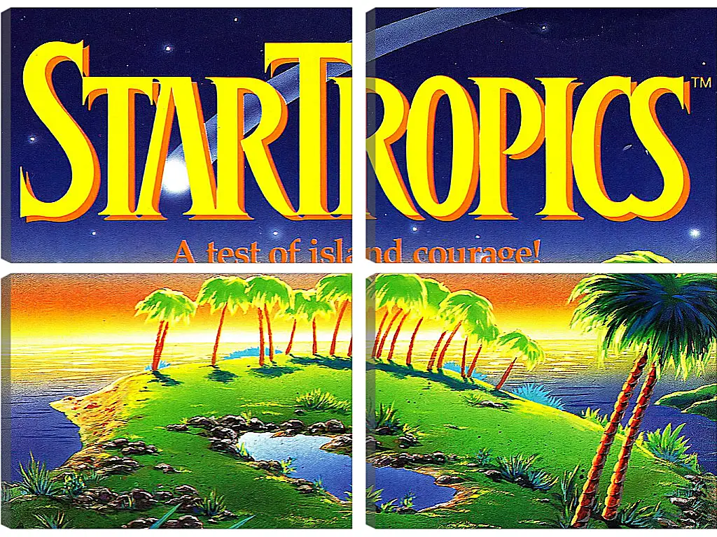 Модульная картина - Star Tropics
